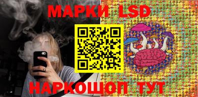 прущие грибы Новокубанск