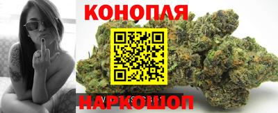 дмт Обь