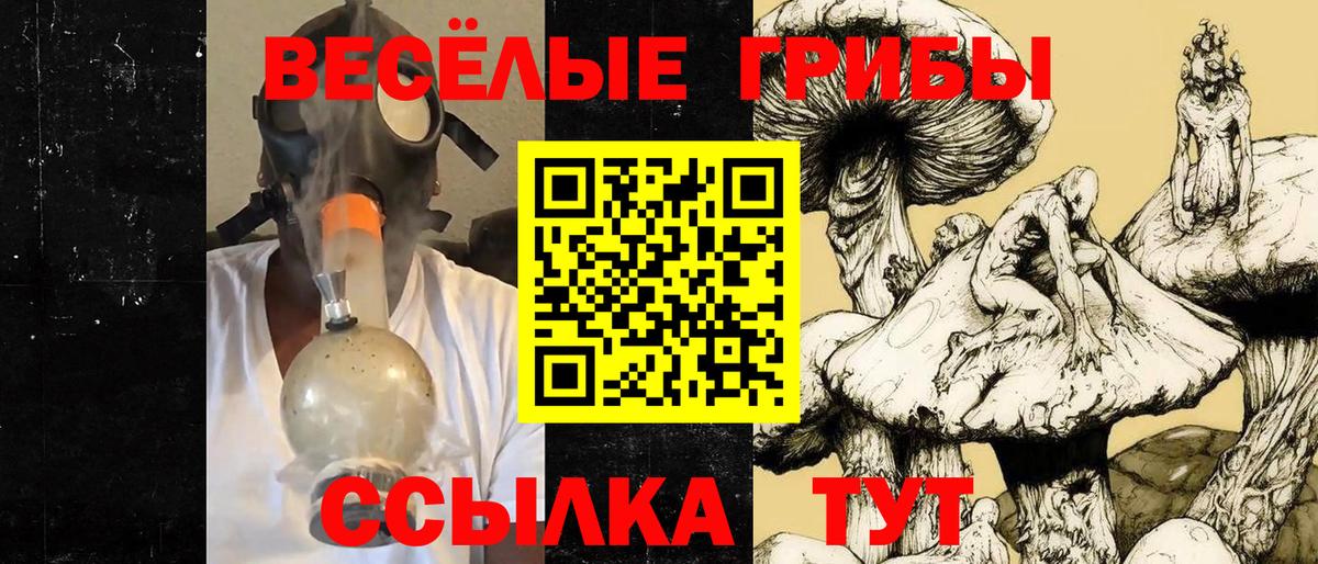 Псилоцибиновые грибы Psilocybine cubensis Уссурийск